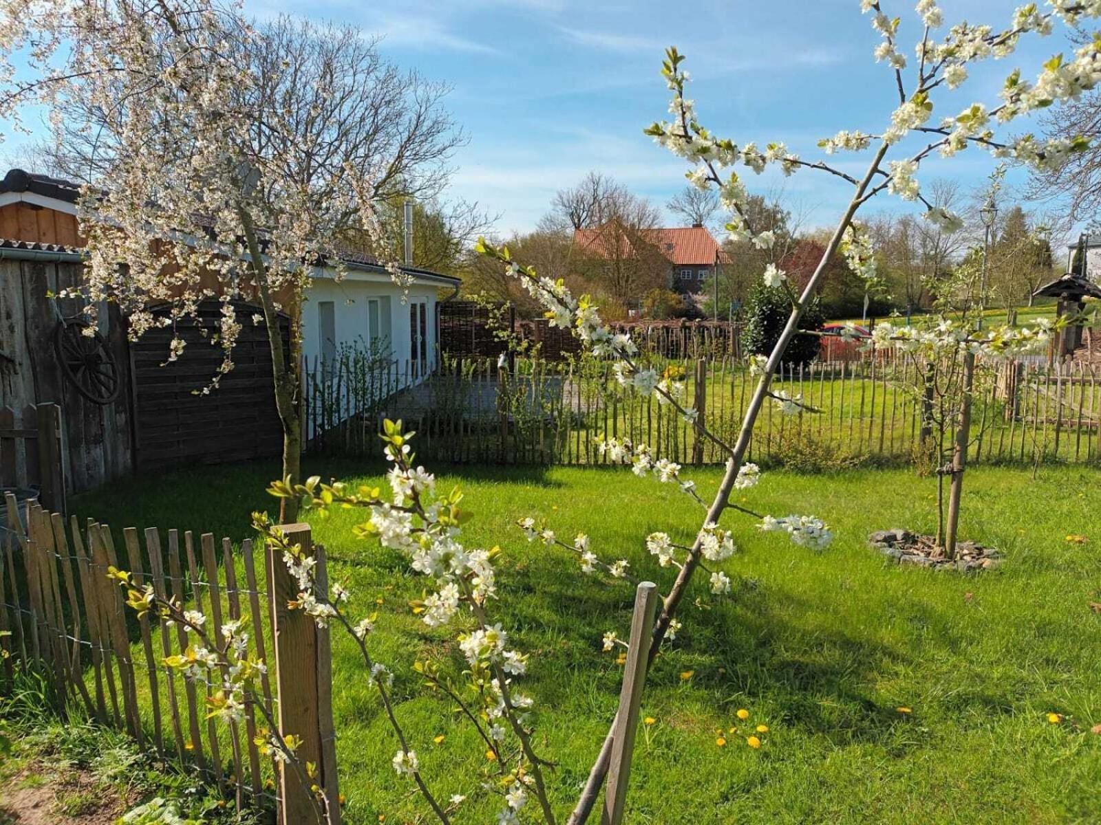 Villa Apfelhof Grundshagen Camera foto